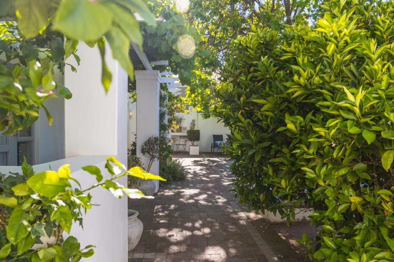 Ashbourne Boutique Guest House Franschhoek Exterior photo